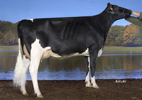 Freddie Katinka VG-86