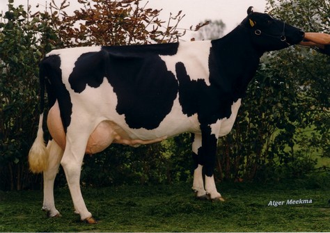 Mars Froukje 277 VG-89