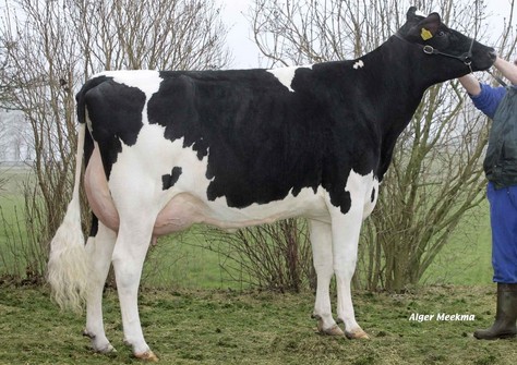 Mars Froukje 376 VG-88