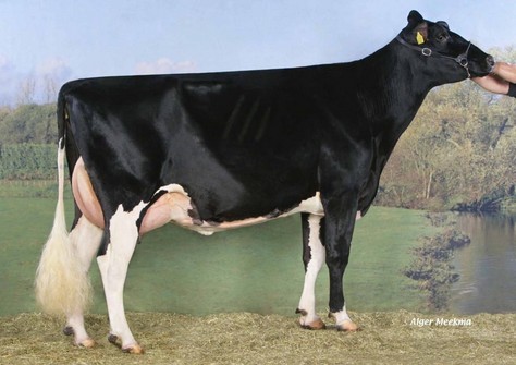 Mars Froukje 478 VG-88