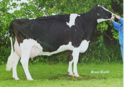 GBM Val Blackstar Jean EX-94