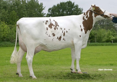 Aalshorst Geertje 77 VG-87