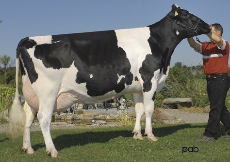 Gen-I-Beq Durham Sherry VG-87