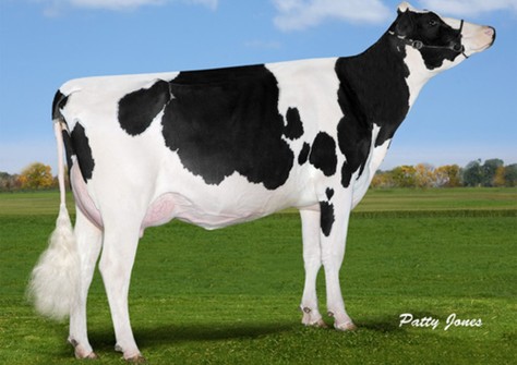 Gen-I-Beq Snowman Spring VG-85