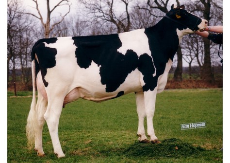 Genua VG-87