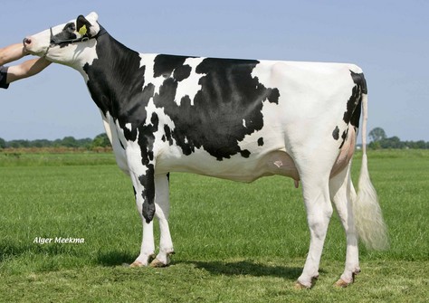 Giessen Cinderella 38 VG-87