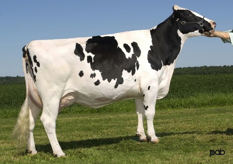 Glen Drummond Splendor VG-86