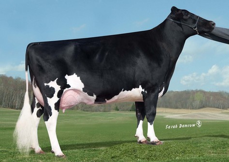 Glenn-Ann Shottle Pepper EX-90