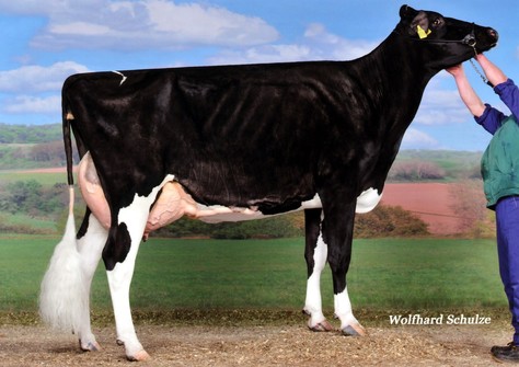 KNS Grand Iota VG-86