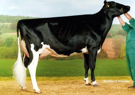 KNS Grand Prix EX-91 KNS Grand Prix EX-91