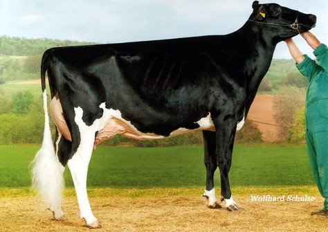 KNS Grand Prix EX-91