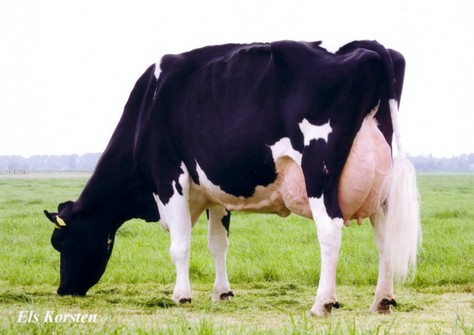 Green-Valley Anita VG-89