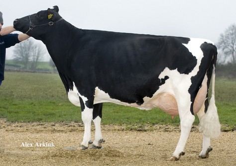 Molenkamp Grietje 28 RDC VG-87