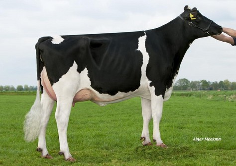 GS Paris VG-87