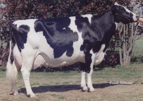 Hanover Hill Tony Rae EX-96