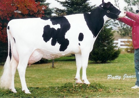 Hanover-Hill Raider Char EX-90