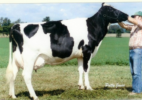 Hanover-Hill SWD Charity EX-94