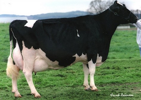 Hanoverhill TT Roxette EX-94