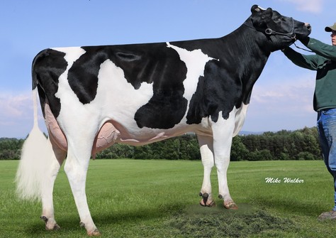 Hartford Hydro Savor 504 RDC VG-85