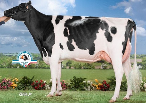 Hermine Tual, family of Maybelline VG-85