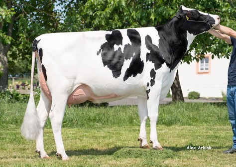 HES Emi (v. Silver) VG-87