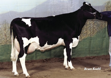 Hesters RL Patron Lucy VG-86