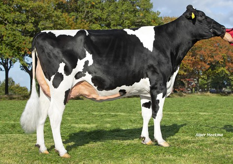 HET Adora Chanel VG-86