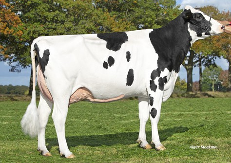 HET Agro Gazelle ET VG-85