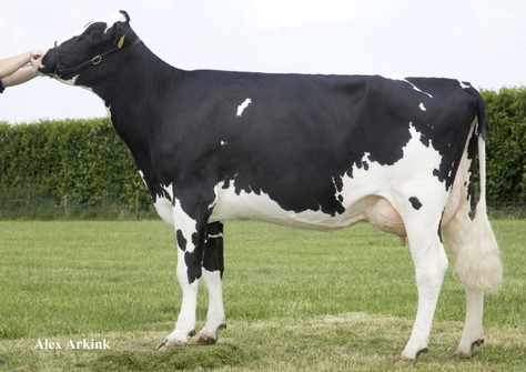 Het Meer Lucky Shot 3400 VG-87 Het Meer Lucky Shot 3400 VG-87