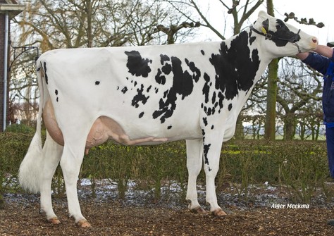 Het Meer Lucky Shot P 17 VG-88 Het Meer Lucky Shot P 17 VG-88
