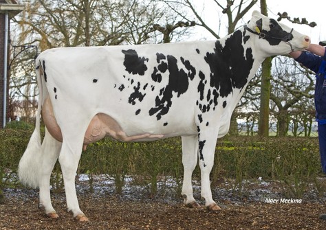 Het Meer Lucky Shot P 17 VG-88