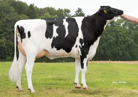 HET SC Charlene VG-87