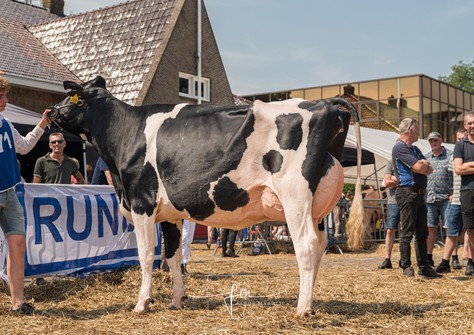 Het Uilenreef Charity 16 EX-91