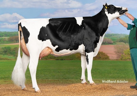 History VG-86