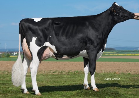 HLB Nanu VG-87