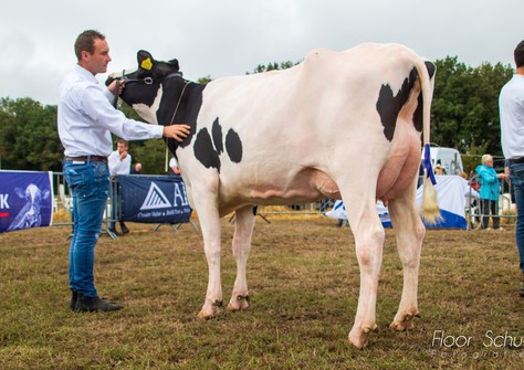 Holbra 3STAR Hellen VG-88