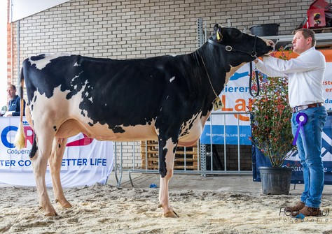 Holbra Halina 3 VG-87