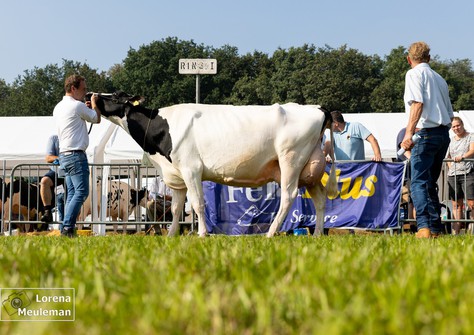 Holbra Joy 2 VG-89