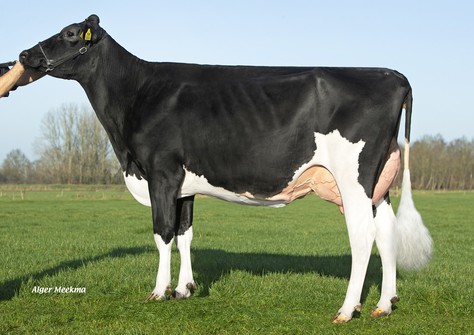 Holbra Malon 16 VG-87