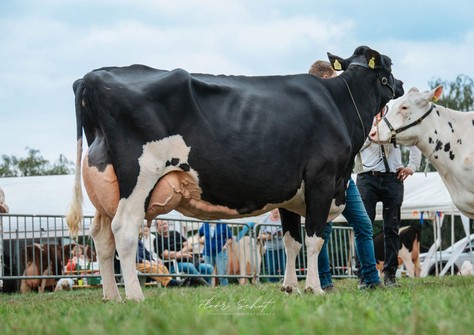 Holbra Malon 16 EX-90