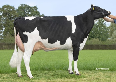 Holbra Malon 17 VG-87