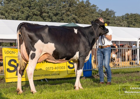 Holbra Malon 27 VG-87