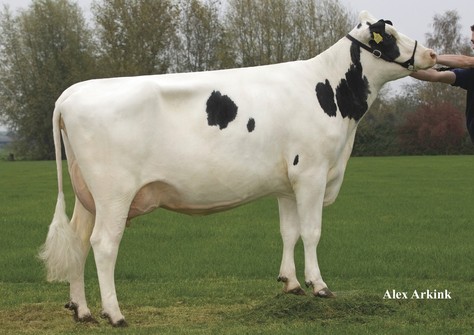 Holbra Paula VG-87