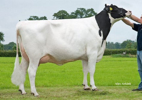 Holbra Sana  VG-87