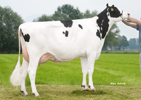 Holbra Sanadi VG-87