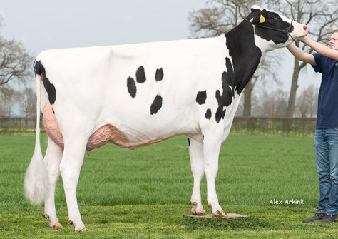 Holbra Sancodi VG-88