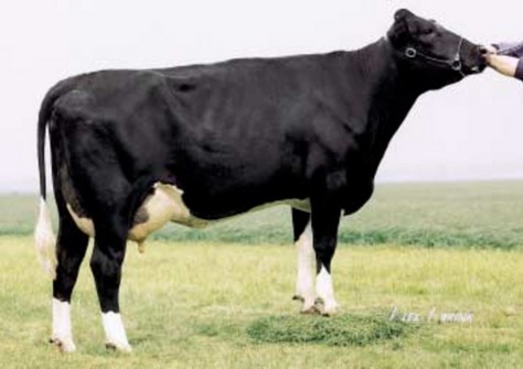 Holim Heidi VG-87