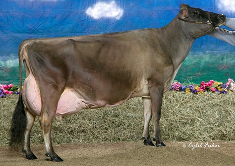 Huronia Centurion Veronica EX-97