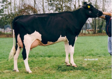 Schreur E Ihlen 19 RF VG-86