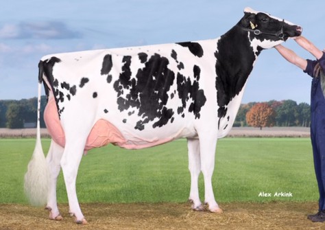 Seeger's Indiana EX-92